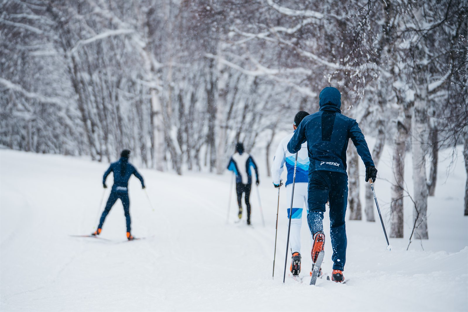 冬のクロスカントリーコース